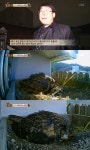 ‘TV동물농장’ 수리 부엉이 부부, 감동 육아 일기