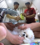 개밥남 양세형·세찬, 초호화 애견살롱 오픈 특급 풀서비스