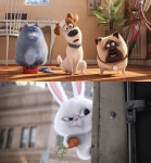 마이펫의이중생활 취향저격 펫들, 이렇게 탄생했다