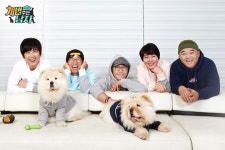 ‘개밥남2’ 이경영, 차우차우 활짝이·피움이와 첫 만남 공개