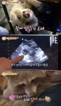 [TV온에어] ‘TV동물농장’ 북카페 마스코트 라쿤의 이유있는 반항