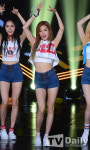 [TD포토] 소나무 디에나 '환상적인 몸매'