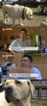 [TV온에어] ‘TV 동물농장’ 문제의 식탐犬 레오 “공허함에 자꾸 먹게 돼”