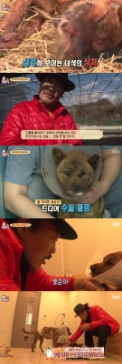 '동물농장' 호순이, 얼굴 절반 날아간 처참한 몰골…생사 넘나든 고비 | 포토뉴스