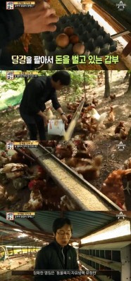 [TV온에어] '서민갑부' 달걀, 15억 갑부된 비결은 '자연 방사' | 포토뉴스