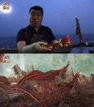 독도 새우로 연 매출 25억 올린 ‘서민갑부’ 사연