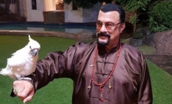 ‘액션 ★’ 스티븐 시걸, 새 성폭행 혐의 추가됐다 “검찰 조사 중”