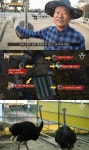 서민갑부 타조, 남시원 타조 특허 나만큼 가진 사람 세계에 없어