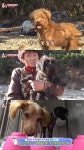 동물농장 통영 무인도 유기된 견공 두 마리