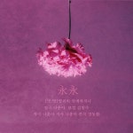 김범수, 나훈아 대표곡 영영 리메이크