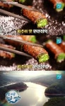 ‘생방송 오늘 저녁’ 파주 장단콩 두부정식요리·보쌈·전골vs소고기말이구이 맛집