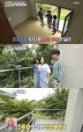 구해줘 홈즈 자두나무 공방집, 초록 잎 청정 담장 층고 4.3m