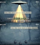 고양이 외계인 스파이설, 영국에서 사라진 211마리 (서프라이즈)