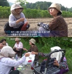 언니네텃밭, 16명 여성 농민이 가꾼 건강한 먹을거리…관심 급증