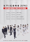 K타이거즈제로, 11월 전국투어 개최 혼성그룹+태권도+K팝