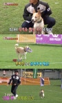 ‘동물농장’ 독풀러 대회 2회 연속 챔피언 자몽이