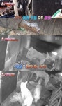 ‘동물농장’, 마을 습격한 범인 실체는 네 마리 들개 “희생된 닭만 200마리”