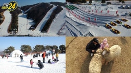 ‘관찰카메라24’ 홍천 겨울여행, 스키장부터 양떼 목장까지