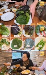 ‘생방송 오늘저녁’ 영양쌈밥정식(천연의맛자연뜰)+19900원 홍게무한리필(울진왕돌초) 맛집