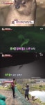 TV 동물농장 낚시터 장악한 수달 가족 포착 자연으로 돌아가야