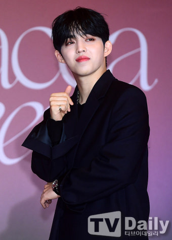 세븐틴 에스쿱스, 원우·버논·호시 이어 코로나19 확진 [전문]