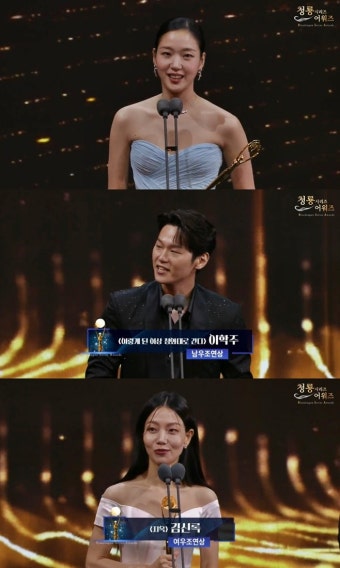 '청룡시리즈어워즈', 김고은·이정재 주연상→'D.P'·'환승연애' 작품상 [종합]