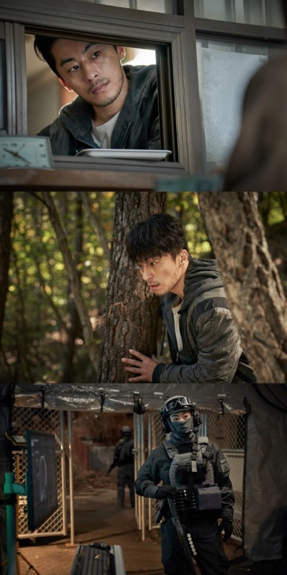 더그레이헤어 이미지