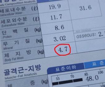 이시영, 체지방 4kg 비결은? 소속사 블로그 보니...
