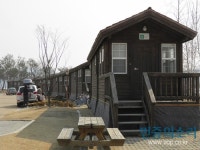 자라섬에 꼭 캠핑만 하러 가라는 법 있나요?