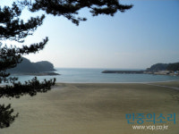 나무와 꽃들의 천국, 그리고 시원한 바다는 덤, 천리포수목원