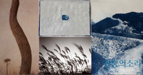 디지털 시대를 거부하는 4인의 시선