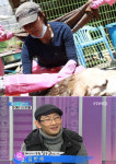 김창렬 황구 학대 분노 개보다 못한 새X...이효리 유기견 사랑도 각별해