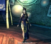 블레이드앤소울 PC방 전용 아이템 추가, 치명 및 관통 대폭 상승!