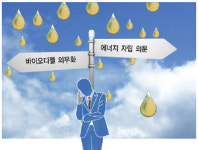 바이오디젤, 하긴 해야 하는데 고민되네