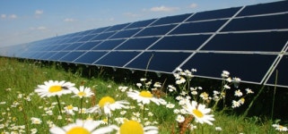 태양광 주, 12일 일제히 급등