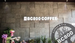 예비 소자본창업 커피전문점 BC800 인기