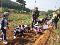 삼성SDS, 화성시 가시리마을 일손돕기 봉사