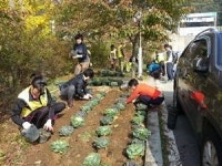 자연보호오산시협의회 도심 속 꽃동산 조성
