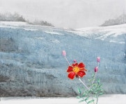 [권동철의 그림여행]폭풍한설 광양 헤매다... 비로소 만난 너!