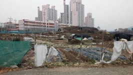 눈을 뜨니 숲, 눈을 돌리니 정원