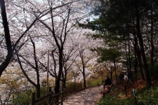 시민 서울숲·남산길 걷기 좋게 조성