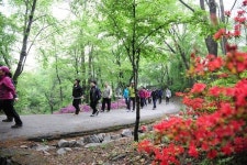 중랑구 건강인(in)마을 축제, 망우산 함께 걸어요~