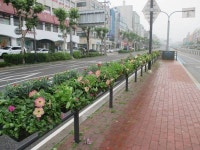 꽃향기 버스정류장…동대문구 3km 걸이화분 설치