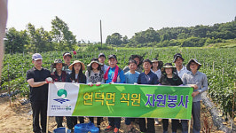 평택시 현덕면 주말에 농촌일손돕기 ‘구슬땀’