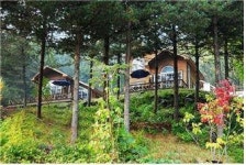 여름 휴가철! 계곡, 숲이 있는 경기도내 자연휴양림 5곳 강추