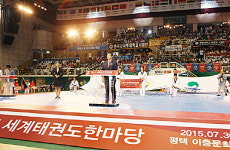 평택시, 2015 세계 태권도 한마당 화려한 개막