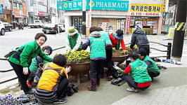 평택시 세교동주민센터, 새봄맞이 봄 꽃 식재