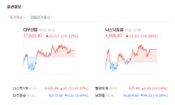[미국증시] 연휴 앞두고 유가 상승·통신주 강세 속 소폭 상승