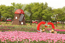 꽃 바람에 행복 실은 2016 ‘평택 꽃 나들이’