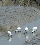 [대한민국 에너지효율·친환경 대상]종합대상 환경부장관상 인천광역시